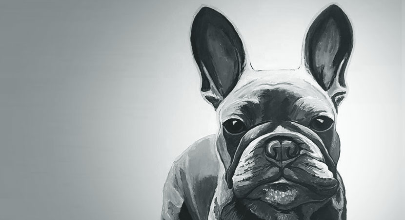 Order now pet portraits!