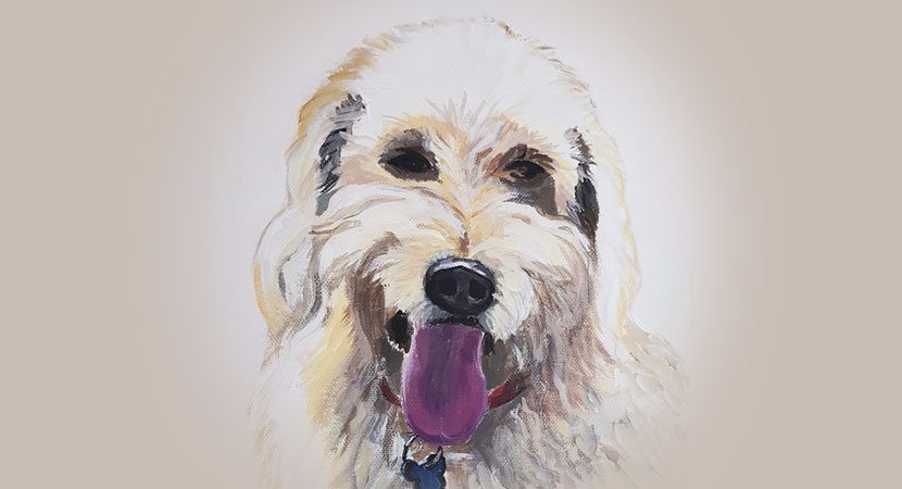 Pet portrait