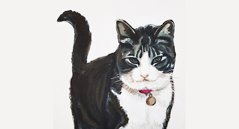 Cat portrait for Christmas&nbsp;present