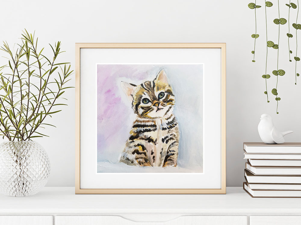 Cat portrait