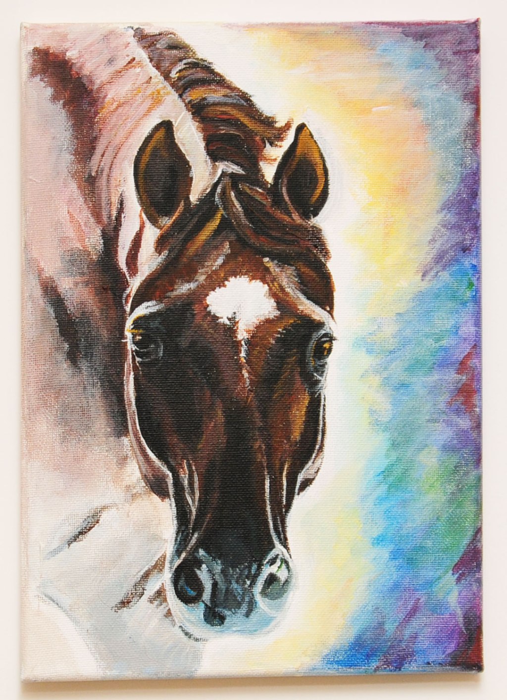 Horses portraits