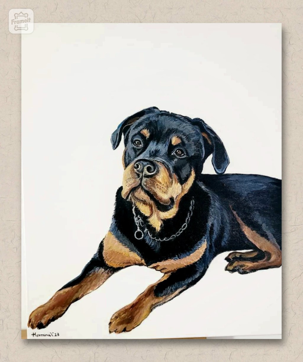 Rottweiler portrait
